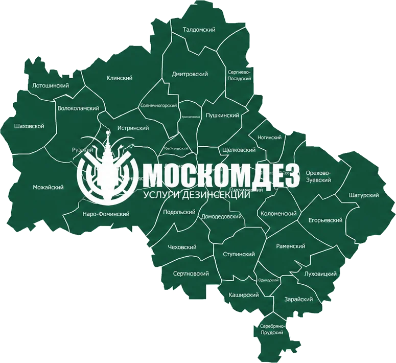Карта выезда: Бронницы и Московская область